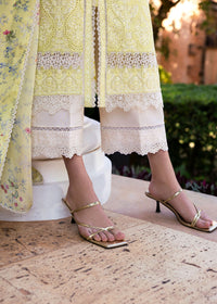 Celine - Kanwal Malik