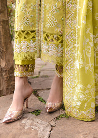 Silvia - Kanwal Malik