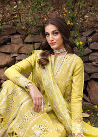 Silvia - Kanwal Malik