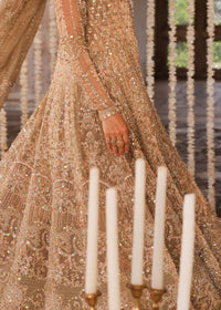 DARAKSHAN - Kanwal Malik