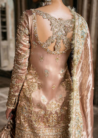 Meeram pink back view - Kanwal Malik