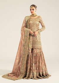 Meeram pink tissue gharara front view - Kanwal Malik