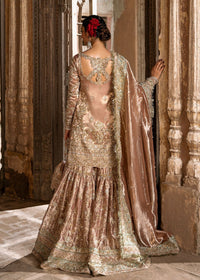 Meeram pink styled look - Kanwal Malik