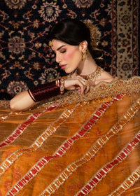Mehr rust pishwas embellishment close-up - Kanwal Malik luxury pret