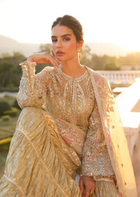 Safana laser-cut organza dupatta - Kanwal Malik luxury pret