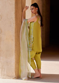 Sia parrot green back view - Kanwal Malik
