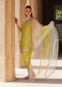 Sia parrot green khari shalwar detail - Kanwal Malik