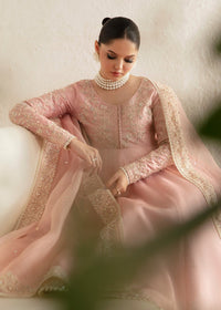 Tierra blush pink ensemble complete look - Kanwal Malik